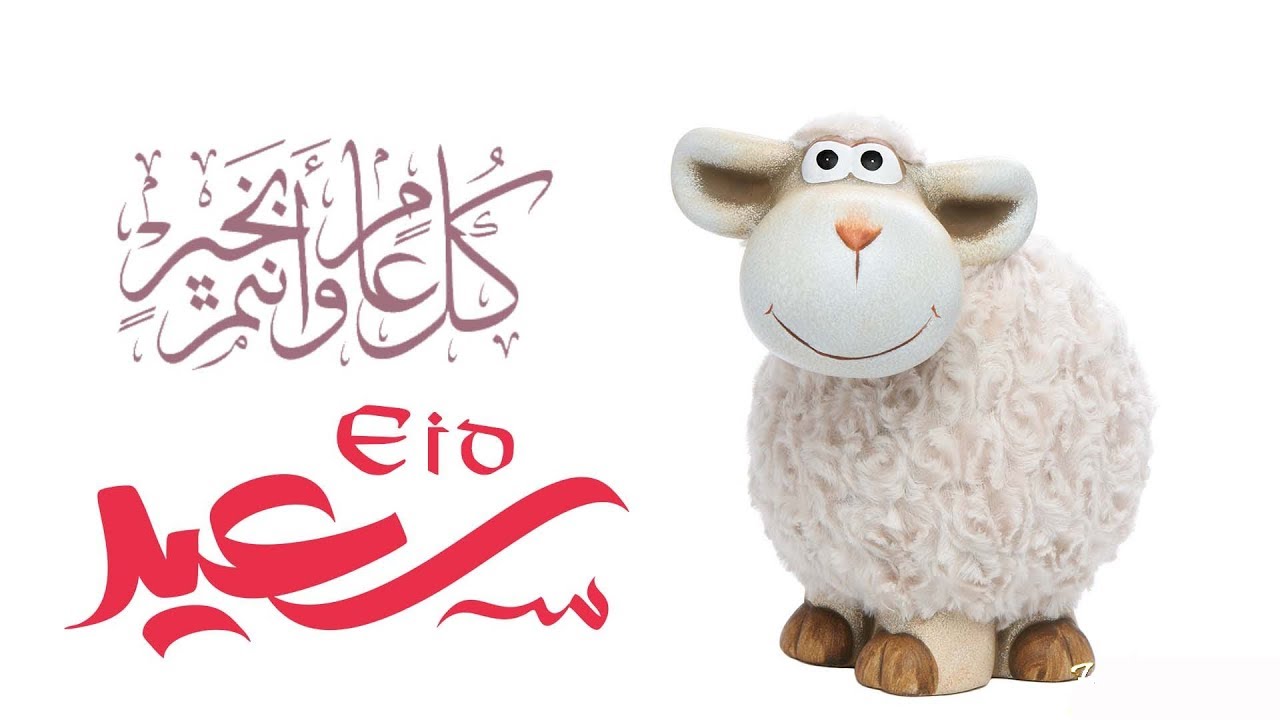 “العيد فرحة” كم عدد ايام اجازة عيد الاضحي 2024-1445 وموعد وقفة عرفات