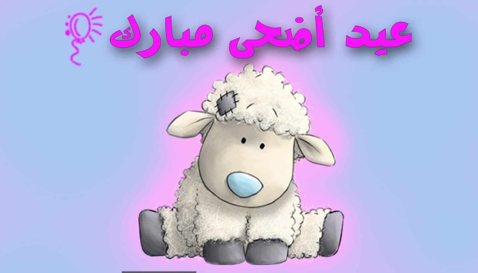 ” الحق عيد على صحابك” بوستات تهنئة عيد الاضحي 2024 وموعد عيد الاضحي