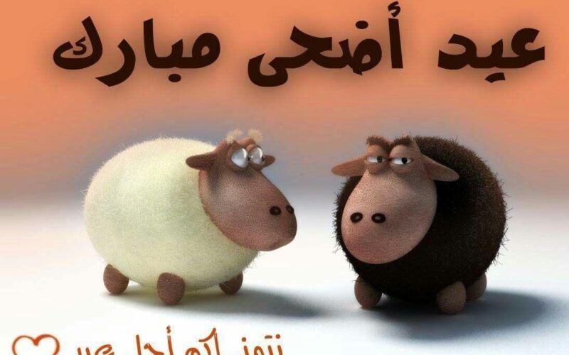 “كل عام وانتم بخير”.. رسائل تهنئة عيد الأضحى 2024 وموعد حلول ايام عيد الأضحى