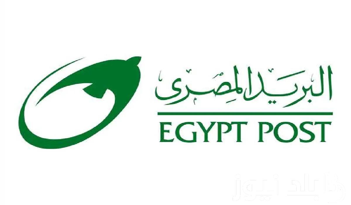 رابط الاستعلام عن اسماء المقبولين في نتيجة مسابقة البريد المصري 2024 عبر بوابة الوظائف الحكومية