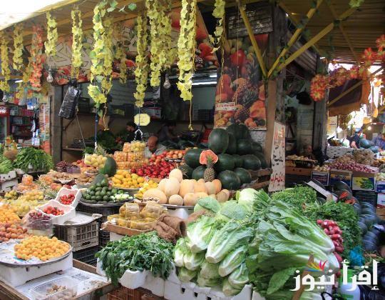 أسعار الخضار في سوق العبور اليوم السبت 21 سبتمبر 2024 وفي جميع الأسواق المصرية للتجار والمستهلكين