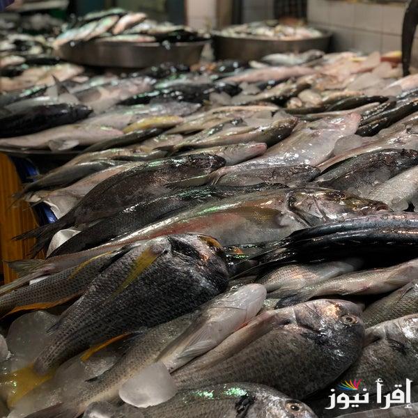 “كل الأنواع” أسعار السمك اليوم للمستهلك الخميس 19 سبتمبر 2024 داخل سوق العبور