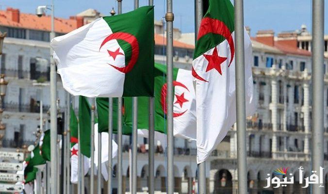 “للعمل على راحتهن” تعديل سن التقاعد للنساء في الجزائر وأبرز الشروط المستوفاة للتقاعد
