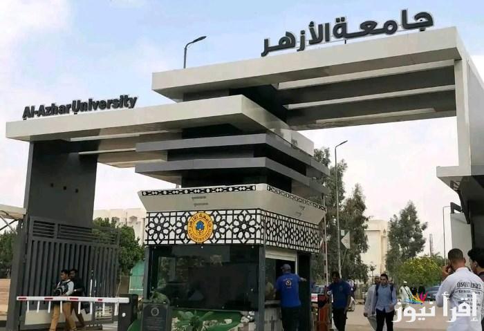 إليكم.. شروط التحويل بين كليات الازهر لعام 2024 والحد الآدنى للقبول ورابط التحويل عبر موقع التنسيق tansik.digital.gov.eg