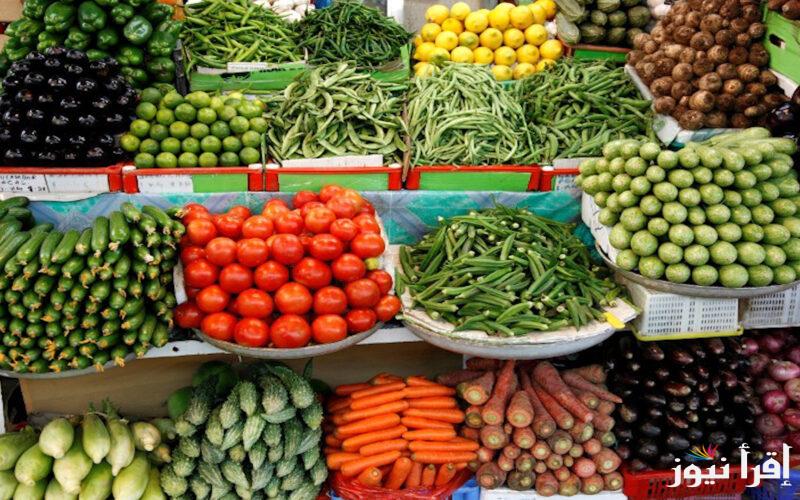 سعر الطماطم في سوق العبور اليوم الخميس 19-9-2024 وفي كافة الأسواق المصرية للمستهلك