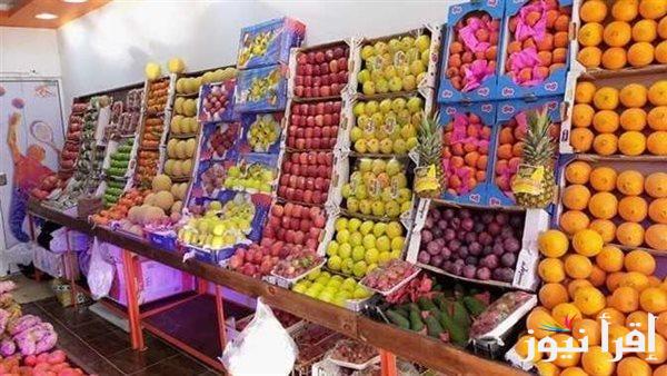 اسعار الفاكهة اليوم فى مصر الجمعة الموافقة 20 سبتمبر 2024 فى الأسواق المحلية للمستهلكين