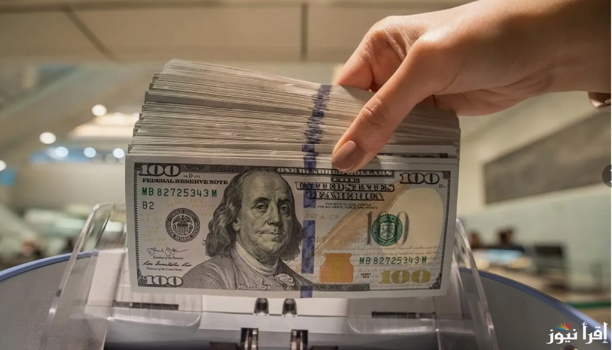 تذبذب الأخضر.. سعر الدولار اليوم البنك الأهلي الخميس 26 سبتمبر 2024 مقابل الجنيه المصري