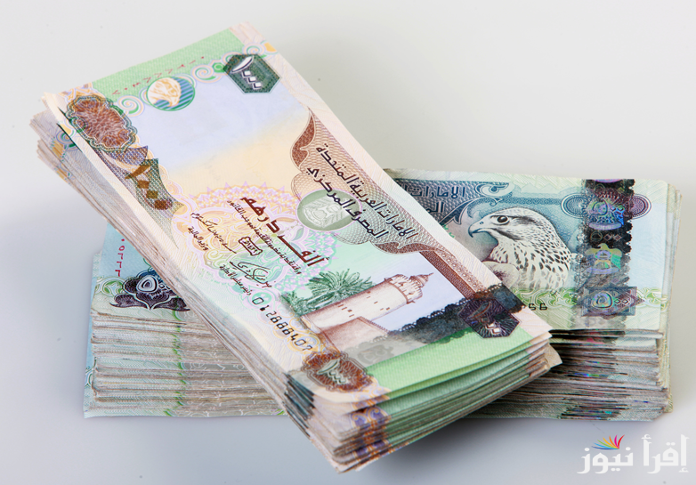 سعر الدرهم الإماراتي في السوق السوداء اليوم الأحد الموافق 22 سبتمبر 2024 مقابل الجنيه المصري