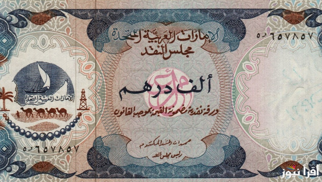 سعر الدرهم الاماراتي اليوم الاحد 22 سبتمبر 2024 مقابل الجنية المصري في البنوك والسوق السوداء