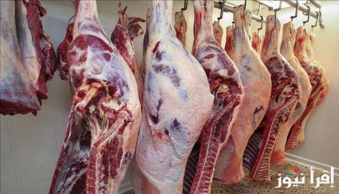سعر كيلو اللحم البقري قائم اليوم الأحد 22 سبتمبر 2024 في مصر بجميع الأسواق ومحلات الجزارة