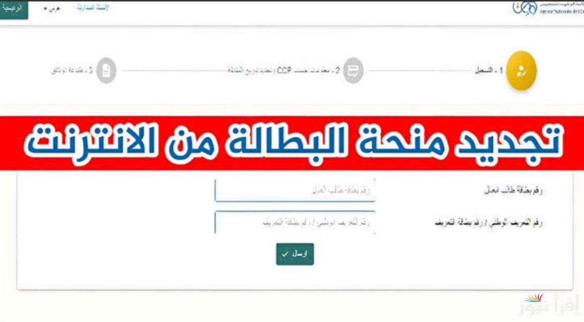 خطوات تجديد منحة البطالة بالجزائر 2024 والأوراق المطلوبة لتجديد منحة البطالة في الجزائر