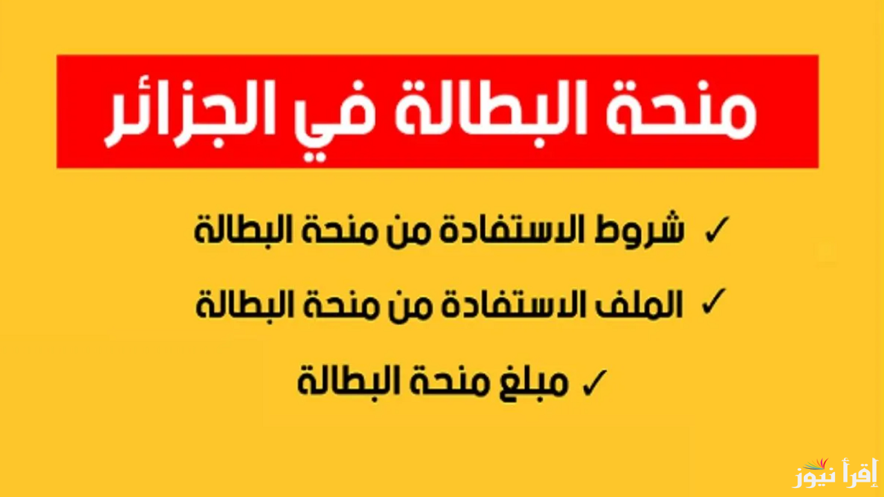 رابط التسجيل في منحة البطالة 2024 عبر موقع الوكالة الوطنية للتشغيل anem.dz وشروط القبول