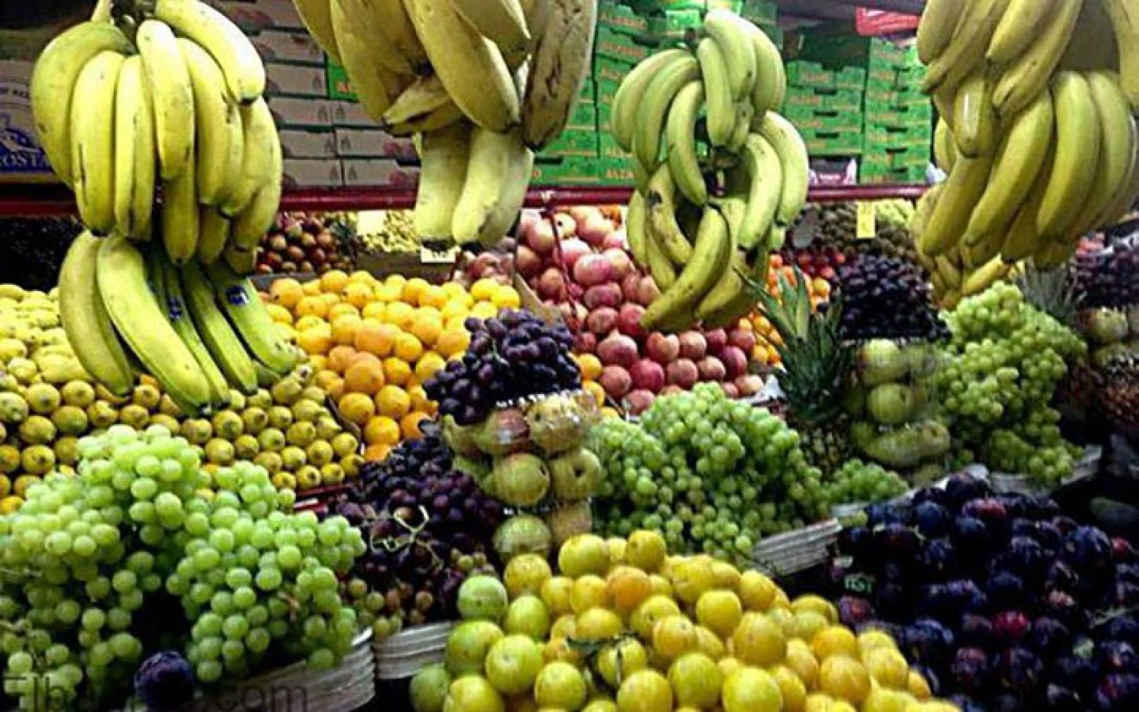 الكيلو بكام؟.. أسعار الفاكهة اليوم الخميس 19 سبتمبر 2024 وأسعار الخضار في سوق العبور