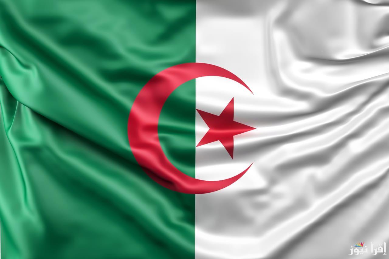 لدعم السيدات الجزائريات.. خطوات الحصول على منحة المرأة الماكثة في المنزل 2024 عبر الرابط anem.dz