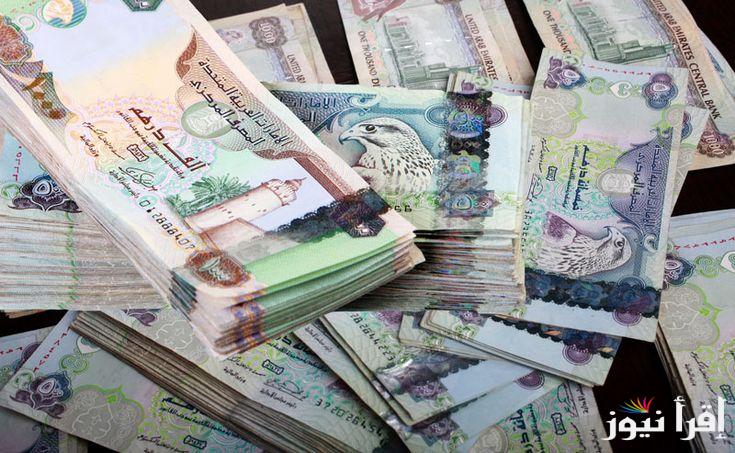 “الإماراتي مستقر” سعر الدرهم الاماراتي اليوم الأحد الموافق 22/9/2024 داخل البنوك المصرية والبنك المركزي