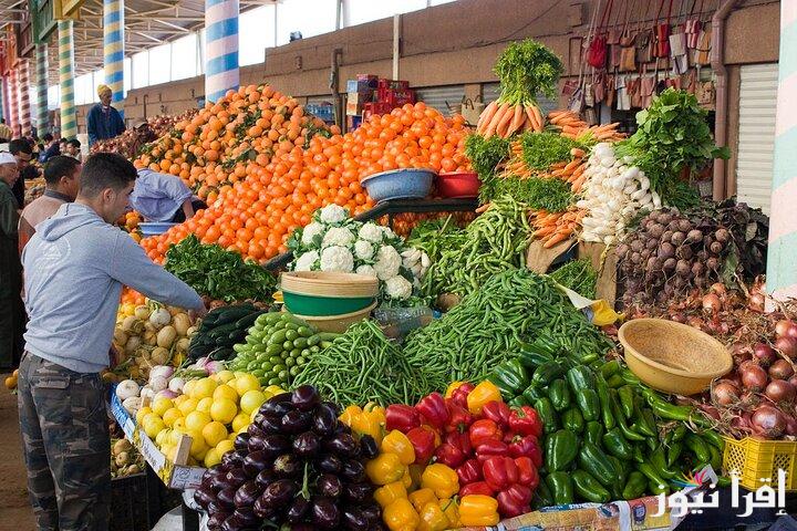 أسعار الخضروات في سوق العبور اليوم الأربعاء 18 سبتمبر 2024 بمصر