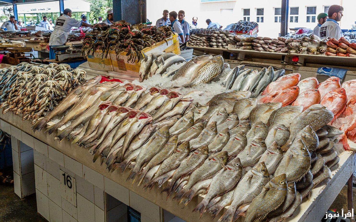 “بلطي وبوري” اسعار السمك اليوم الخميس 19 سبتمبر 2024 في سوق العبور وبجميع الأسواق