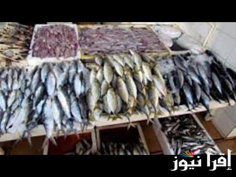 البلطي بين قيمة 71 و75 جنيهًا .. اسعار السمك اليوم الثلاثاء 24 سبتمبر 2024 داخل الاسواق والمحلات التجارية