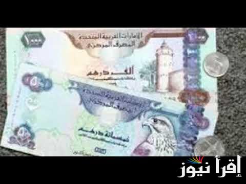 لحظيا…سعر الدرهم الأماراتى مقابل الجنية المصرى اليوم الثلاثاء 17 سبتمبر 2024 فى السوق السوداء والبنك المركزى