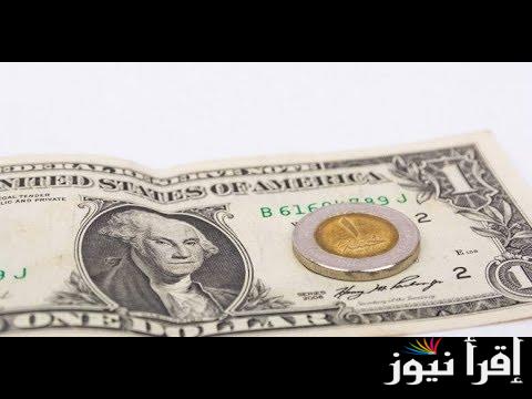100 دولار أمريكي كم جنية مصري في السوق السوداء اليوم السبت 21/9/2024 وفي مختلف البنوك المصرية