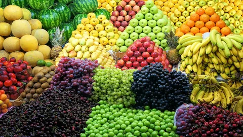 “مانجا وعنب وتفاح” أسعار الفاكهة اليوم في الاسواق الخميس الموافق 2024/9/19 للمستهلك