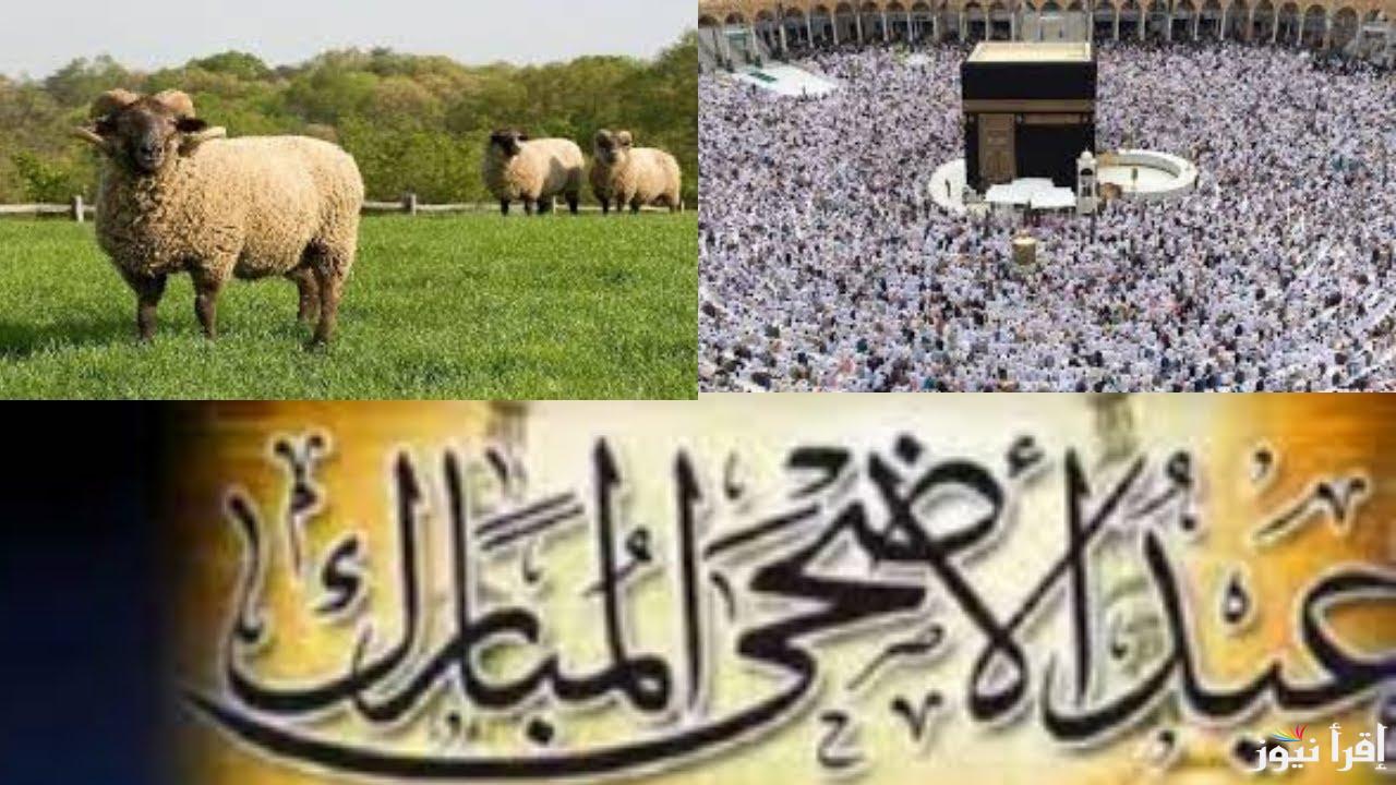 “عيد النحر” موعد عيد الأضحى 2025 في مصر فلكيا وأجمل رسائل المعايدات والتهاني تشاركها مع أحبابك وأصدقائك
