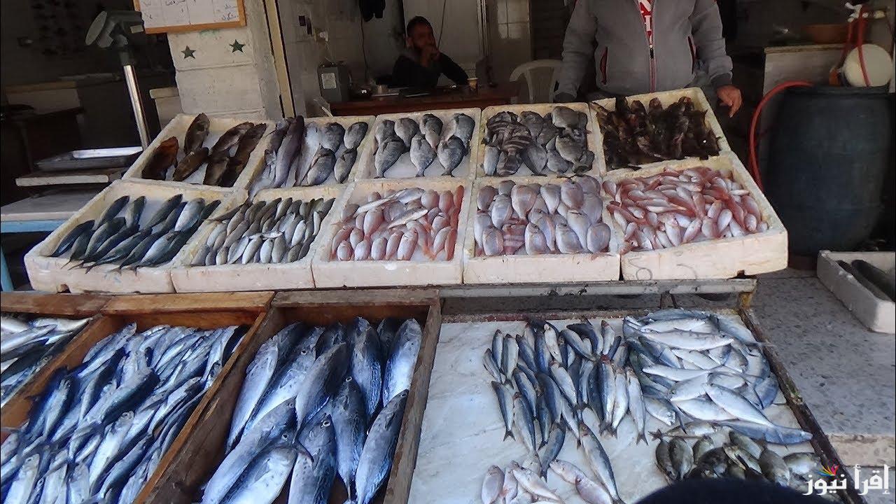 اسعار السمك اليوم الخميس 26 سبتمبر 2024 وأسعار الأسماك فى سوق العبور اليوم