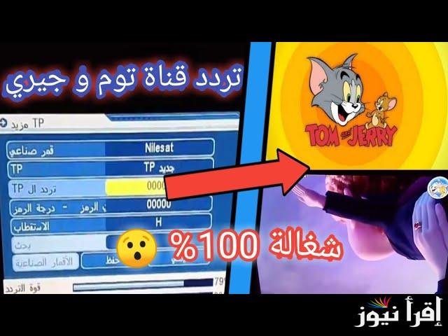 “ثبتها الان بكل سهولة” تردد قناة توم وجيري 24 ساعة عبر القمر الصناعي نايل وعرب سات بجوده hd