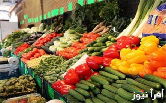 اسعار الخضار اليوم الجمعة الموافقة 20 سبتمبر 2024 فى الأسواق تبعا لأسعار سوق العبور للمستهلك