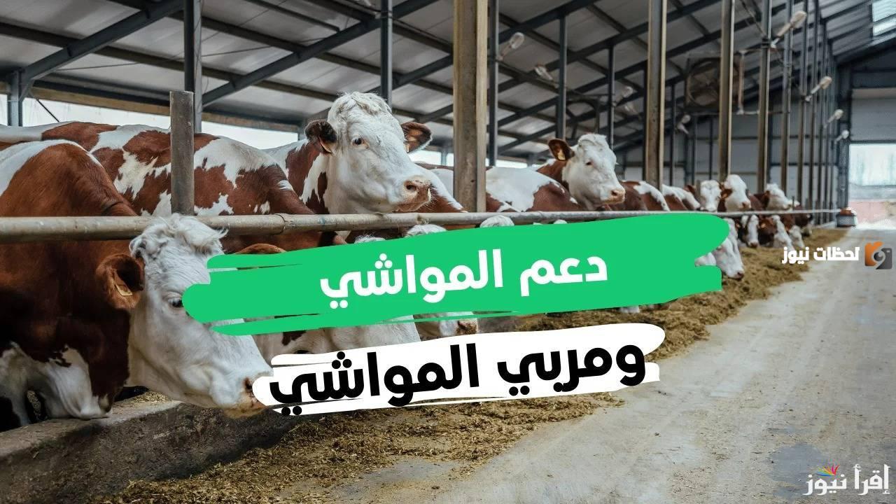 “قدم حالا” خطوات التسجيل في دعم المواشي 1446هـ/2024 عبر mewa.gov.sa