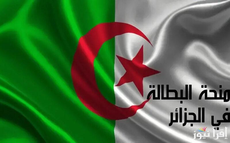 خطوات التسجيل في منحة البطالة في الجزائر 2024 عبر موقع الوكالة الوطنية للتوظيف anem.dz