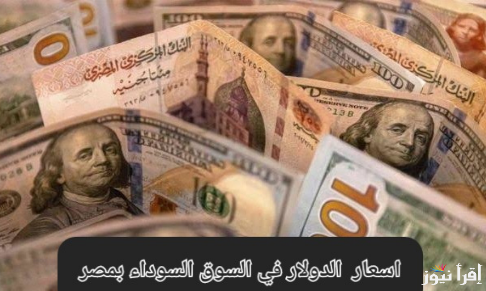 سعر الدولار اليوم مقابل الجنيه المصري الخميس 19/9/2024 في البنوك والسوق الموازي.. الدولار عامل كام النهارده؟