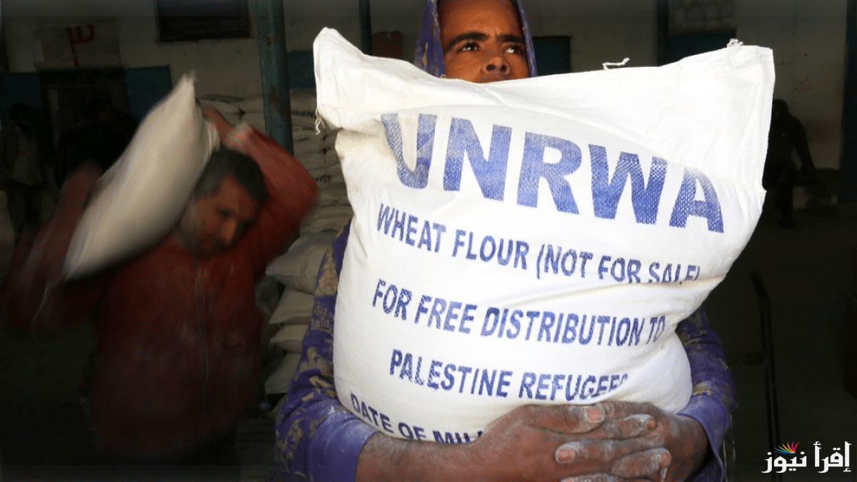 من هُنا.. رابط فحص كابونة الوكالة 2024 لشهر سبتمبر برقم الهوية عبر unrwa.org والحصص المخصصة لكل فرد