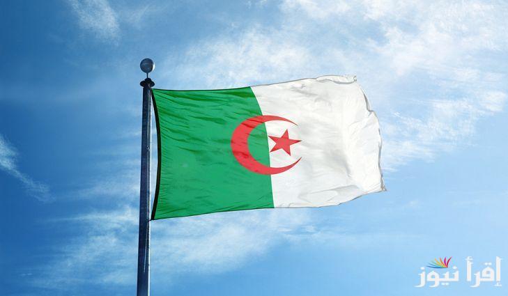 منحة البطالة في الجزائر 2024 .. إليكم شروط وخطوات التسجيل في منحة البطالة عبر anem.dz
