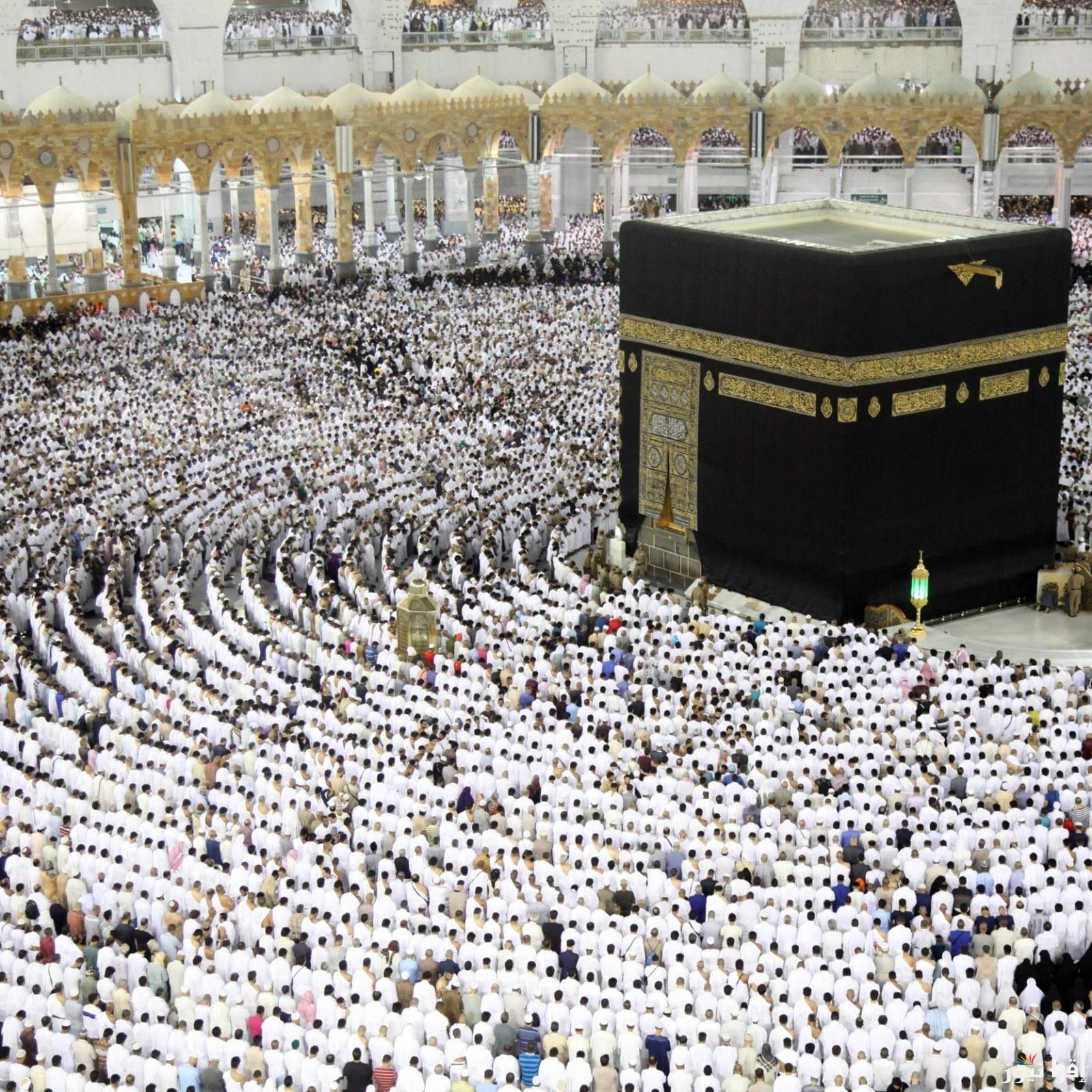 نتائج قرعة الحج 2025 في العراق عبر الموقع الرسمي الخاص بهيئة الحج والعمرة hajj.gov.iq