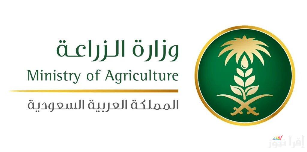 فرصة للمشاريع الصغيرة.. رابط التقديم للحصول على دعم المواشي 1446 وأبرز الشروط المطلوبة للدعم mewa.gov.sa