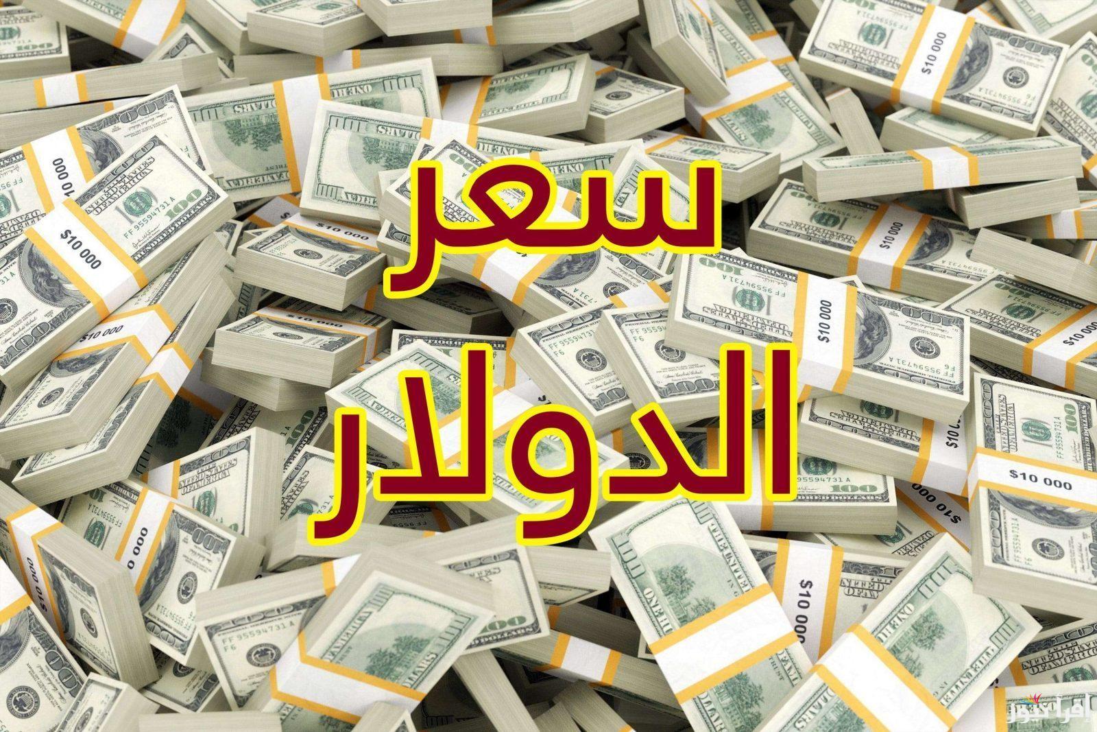1 دولار كم جنيه مصري في السوق السوداء؟ ومختلف البنوك المصرية 22 اكتوبر 2024 مقابل الجنيه المصري