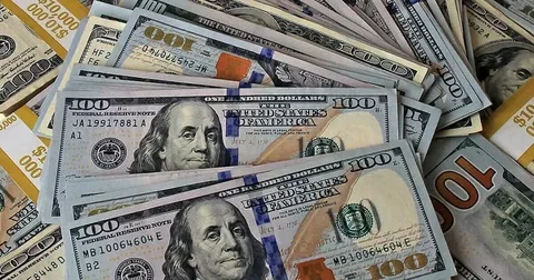 “ارتفاع الدولار” 100 دولار كم جنيه مصري اليوم في السوق السوداء؟ والبنوك المختلفة بتعاملات الثلاثاء 22/10/2024 مقابل الجنيه المصري