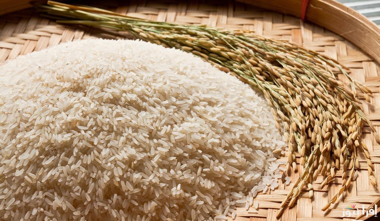 استقرار في سعر طن الأرز الشعير اليوم الجمعة 18 أكتوبر 2024 للتجار والمستهلكين في الاسواق المحلية