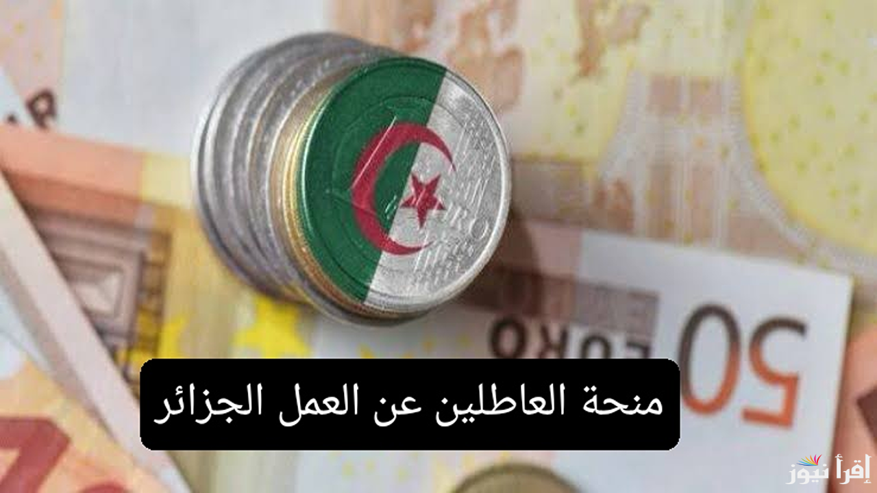 التسجيل في منحة العاطلين عن العمل في الجزائر “والشروط المطلوبة للحصول عليها