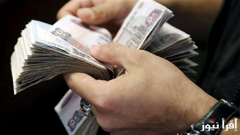 “التفاصيل كاملة” زياده المعاشات شهر نوفمبر 2024 وطريقة الاستعلام عبر nosi.gov.eg