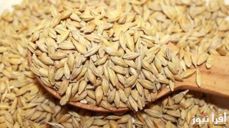 “التسعيرة الجديده” سعر الارز الشعير اليوم الخميس الموافق 2024/10/24 للمستهلك في الاسواق