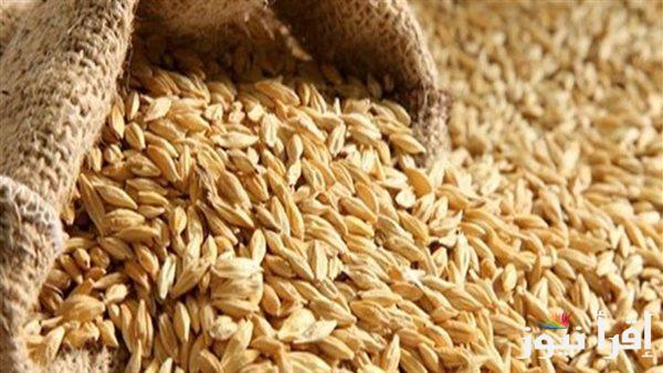 سعر طن الارز الشعير اليوم الاحد الموافق 2024/10/20 للمستهلك في المحال التجارية