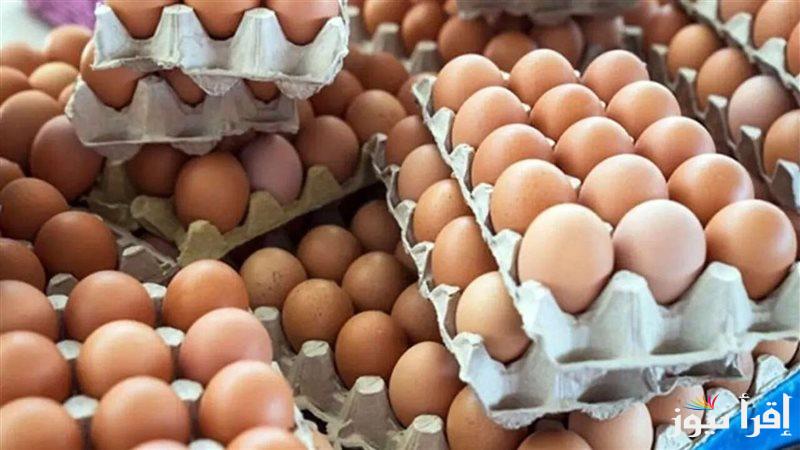“ابيض واحمر” اسعار البيض اليوم الخميس الموافق 2024/10/17 للمستهلك في المحلات التجارية