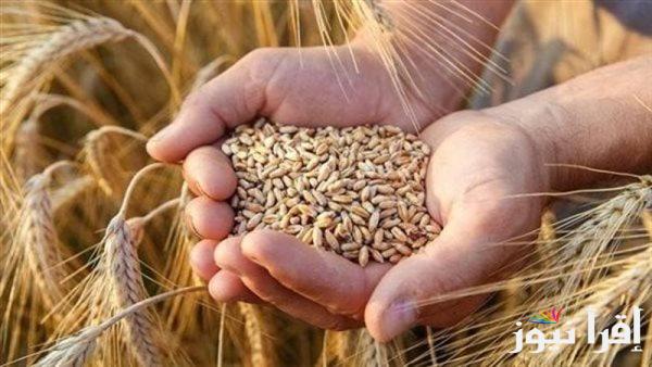تعرف علي اسعار الارز الشعير في مصر اليوم الإثنين الموافق 2024/10/21 للمستهلك في المتاجر والأسواق المحلية