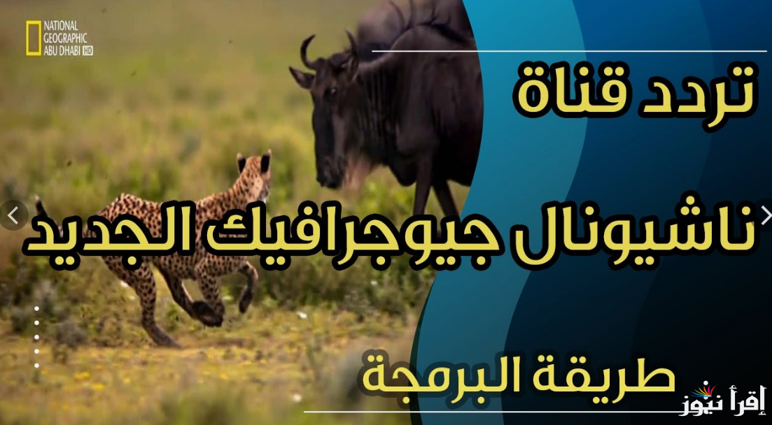 “ثبت الان”.. تردد ناشيونال جيوغرافيك الجديد 2024 عبر النايل سات بجودة عالية للاستمتاع بأفضل البرامج والأفلام الوثائقية