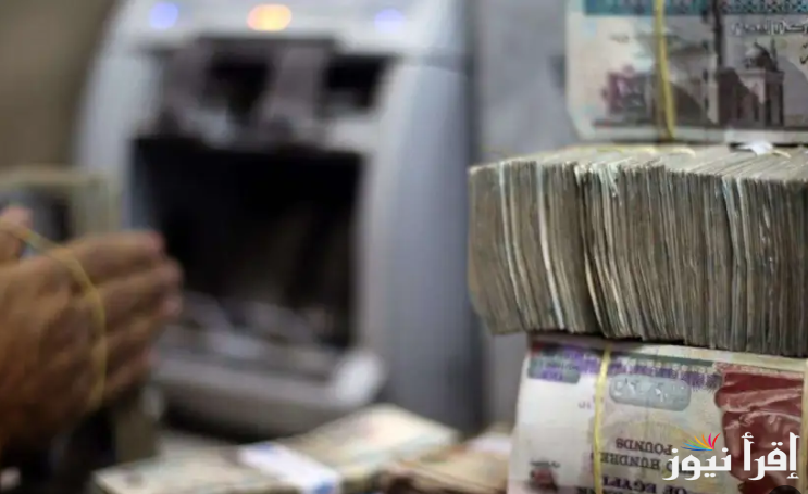 “1000 جنيه” زياده المعاشات شهر نوفمبر 2024 .. الهيئه القومية للتأمين الإجتماعي توضح الحقيقة