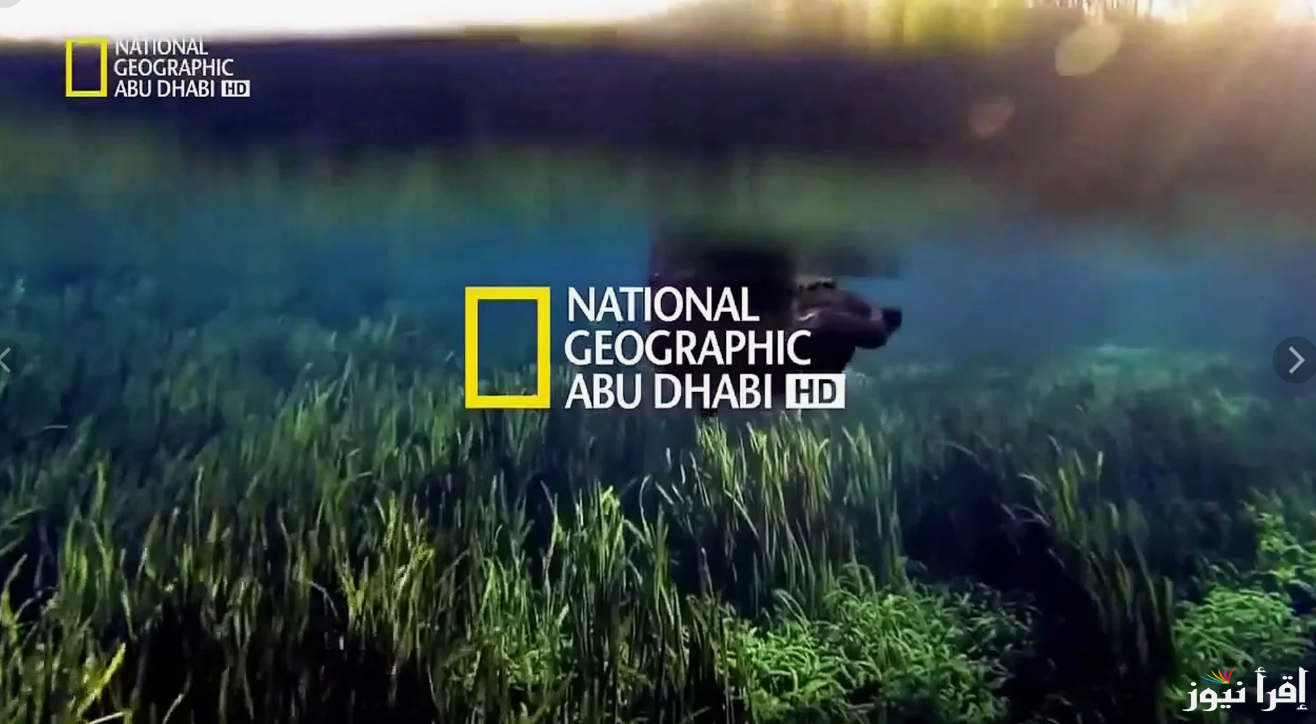 استقبلها.. “National Geographic” تردد قناة ناشيونال جيوغرافيك 2024 على مختلف الأقمار الصناعية لمتابعة كل ما يخص عالم الفضاء والطبيعة
