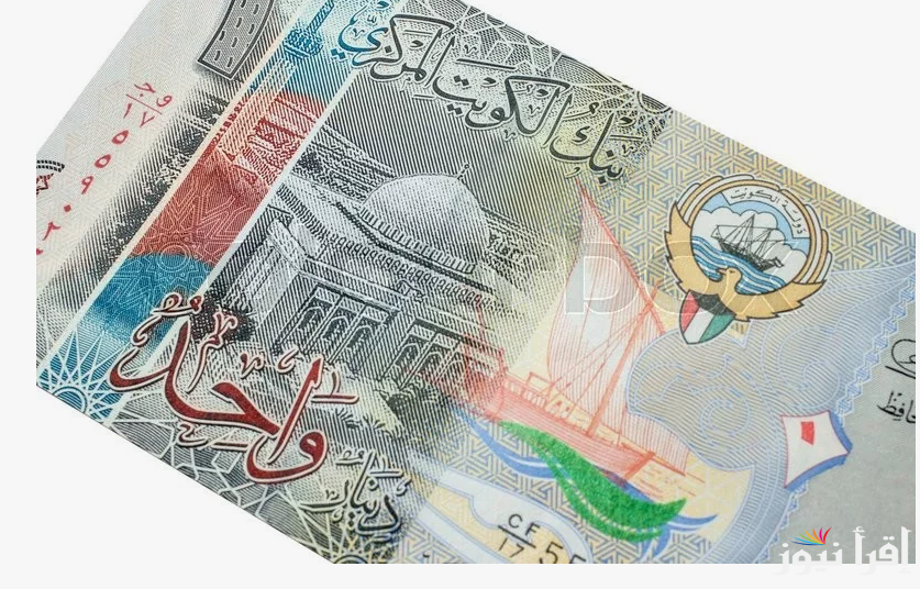 1000 دينار كويتي كم جنيه مصري؟ سعر الدينار الكويتي اليوم الثلاثاء بتاريخ 23-10-2024 في منتصف التعاملات
