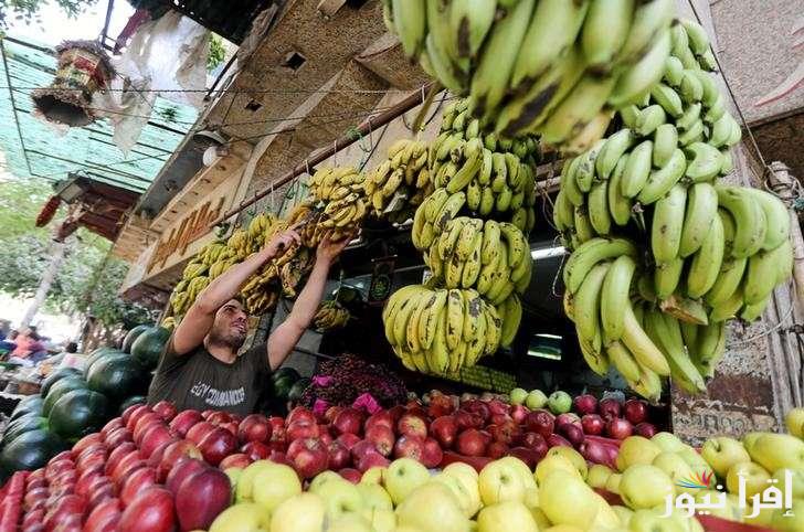 قائمة أسعار الفاكهة اليوم الأحد 20 أكتوبر 2024 في سوق العبور للمستهلك